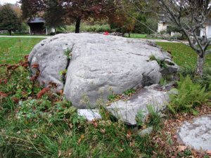 295902_10150351742579522_827814269_n