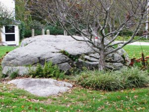 307198_10150351742499522_1594722541_n