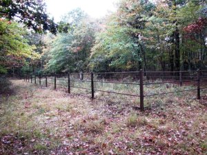 310145_10150349180289522_999695731_n