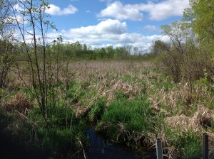 George Allen Homestead - My Great Grandfather