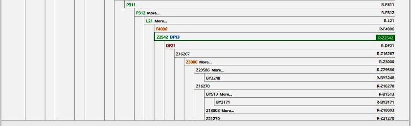 russ-allens-r-z2542-df13-snp-breakdown-part-2-family-tree-dna-kit-366700