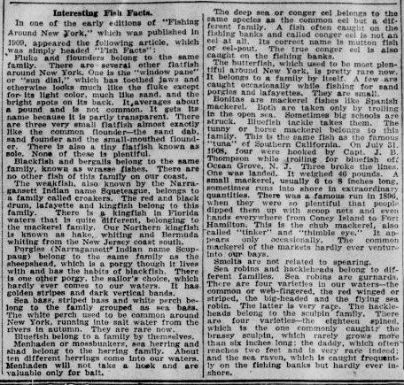 interesting-fish-facts