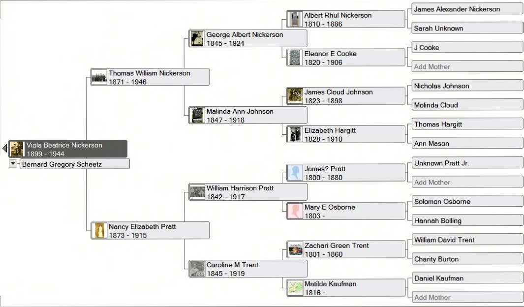 Mercer Family Tree My 3rd Great Grandparents: William Harrison “Henry” & Caroline M ...